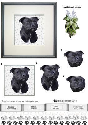 Staffordshire Bull Terrier Portrait 3D Decoupage