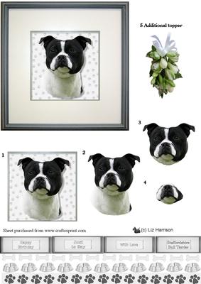 Staffordshire Bull Terrier ,b & W,portrait 3D Decoupage