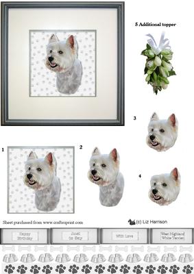 West Highland White Terrier 3 Portrait 3D Decoupage
