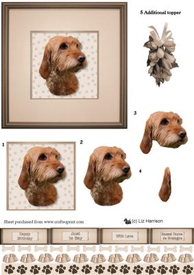 Basset Fauve De Bretagne Portrait 3D Decoupage
