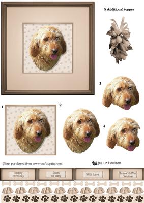 Basset Griffon Vendeen Petit Portrait 3D Decoupage