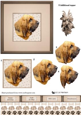 Bloodhound Portrait 3D Decoupage
