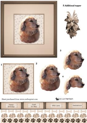 Dachshund,longhaired,portrait 3D Decoupage
