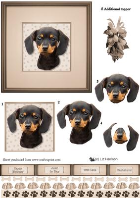 Dachshund Puppy Portrait 3D Decoupage