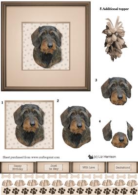 Dachshund ,wire Haired, Portrait 3D Decoupage