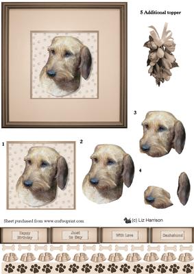 Dachshund,wire Haired, Portrait 3D Decoupage