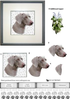 Weimaraner Portrait 3D Decoupage