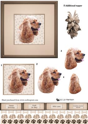 American Cocker Spaniel Portrait