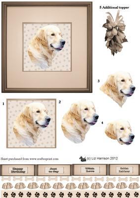 Golden Retriever Portrait