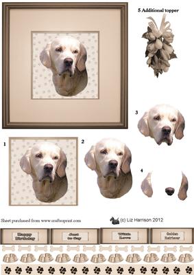 Golden Retriever Portrait