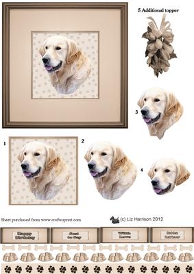 Golden Retriever Portrait