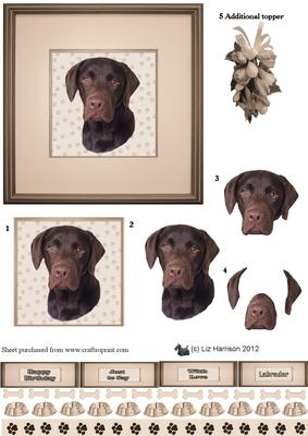 Chocolate Labrador Retriever Portrait 3D Decoupage