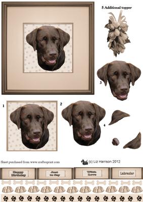 Chocolate Labrador Portrait 3D Decoupage