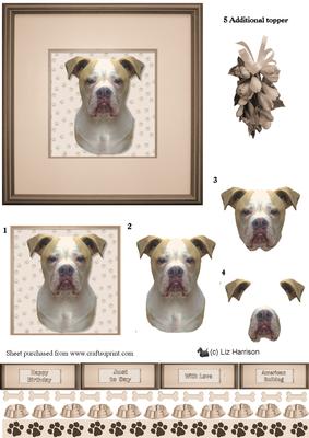 American Bulldog Portrait 3D Decoupage