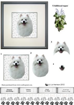 American Eskimo Dog Portrait 3D Decoupage