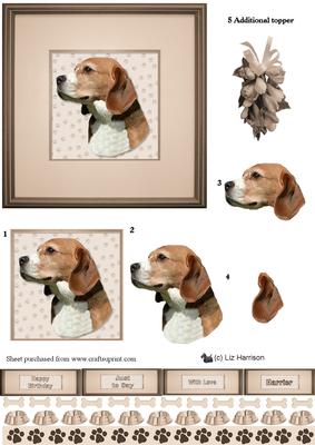 Harrier Portrait 3D Decoupage