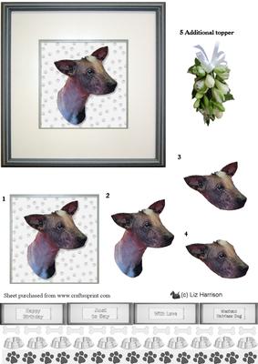 Mexican Hairless Dog Portriat 3D Decoupage