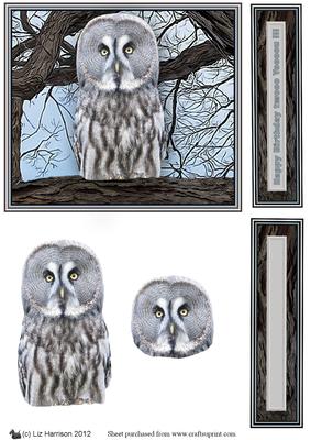 Great Grey Owl 3D Decoupage