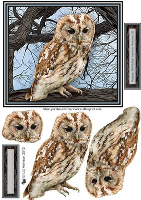 Tawny Owl 3D Decoupage