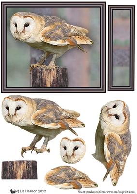 Barn Owl 3D Decoupage