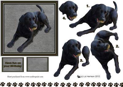 Black Labrador & Ball 3D Decoupage