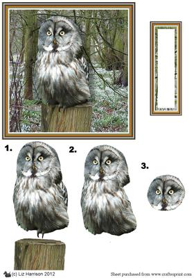 Ural Owl 3D Decoupage