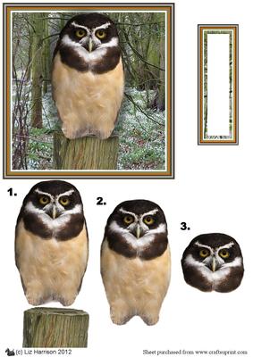 Spectacled Owl 3D Decoupage