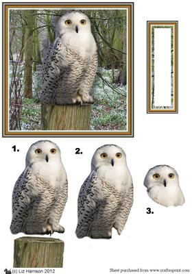 Snowy Owl 3D Decoupage