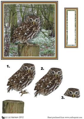 Little Owl 3D Decoupage