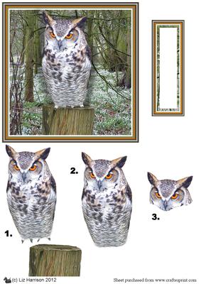 Long Eared Owl 3D Decoupage