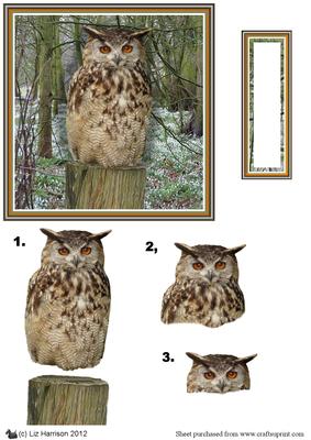 Eagle Owl 3D Decoupage