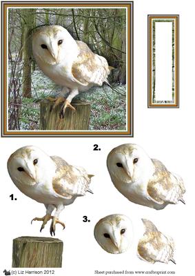 Barn Owl 3D Decoupage