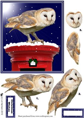 Barn Owl on a Christmas Post Box 3D Decoupage