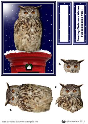 Eagle Owl on a Christmas Post Box 3D Decoupage