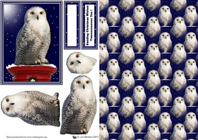 Snowy Owl Post Box with Background Sheet 3D Decoupage