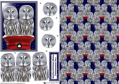 Great Grey Owls on a Post Box with Background Sheet