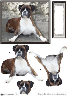 Boxer Dog Scene 3D Decoupage