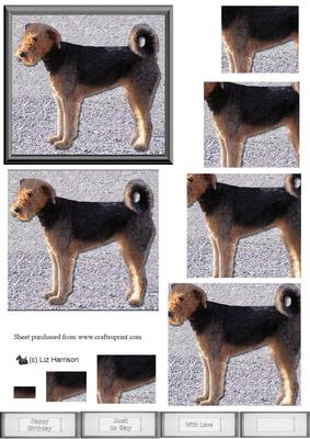 Airedale Terrier Pyramid