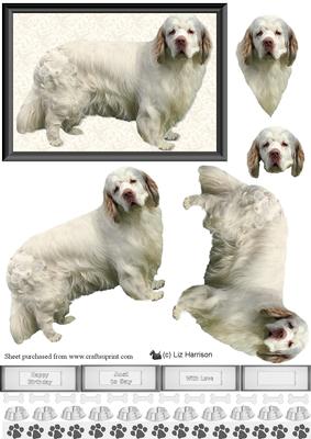 Clumber Spaniel Dog 3D Decoupage