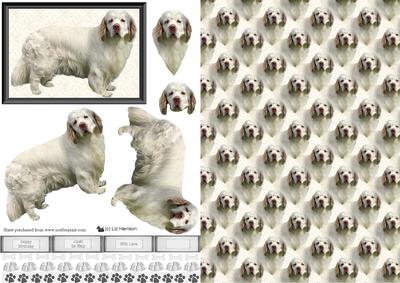 Clumber Spaniel Dog 3D Decoupage with Background