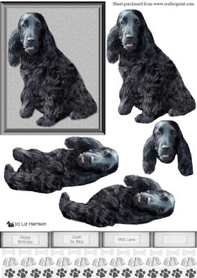 Cocker Spaniel Black Dog 3D Decoupage