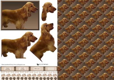 Cocker Spaniel Golden Dog Step by Step with Background