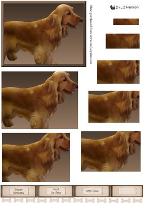Cocker Spaniel Golden Dog Pyramid