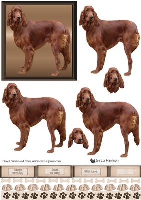 Red Setter Dog 3D Decoupage