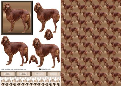 Red Setter Dog 3D Decoupage with Background