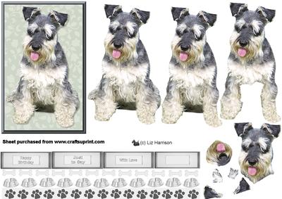 Miniature Schnauzer Dog 3D Decoupage