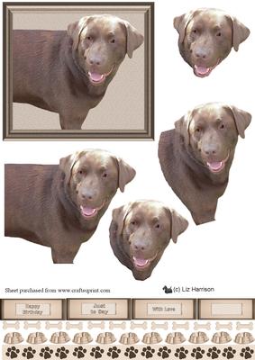 Chocolate Labrador Dog 3D Decoupage