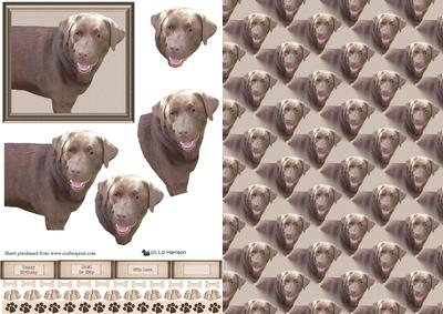 Chocolate Labrador Dog 3D Decoupage with Background