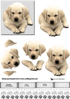 Golden Labrador Puppy 3D Decoupage