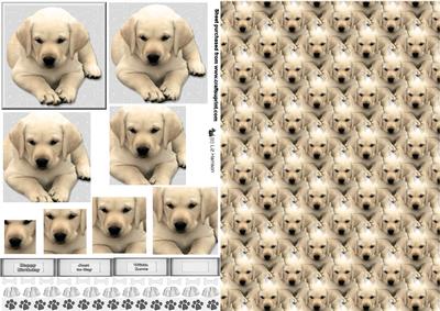 Golden Labrador Puppy Pyramid with Background